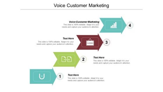 Voice Customer Marketing Ppt PowerPoint Presentation Infographic Template Graphic Tips Cpb