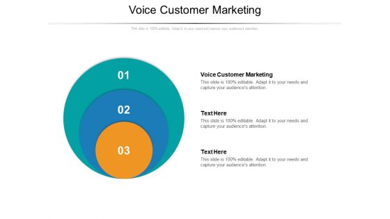 Voice Customer Marketing Ppt PowerPoint Presentation Infographics Graphics Pictures Cpb Pdf