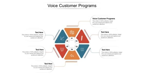 Voice Customer Programs Ppt PowerPoint Presentation Show Microsoft Cpb Pdf