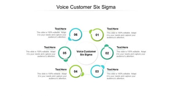 Voice Customer Six Sigma Ppt PowerPoint Presentation Portfolio Background Images Cpb