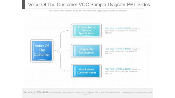 Voice Of The Customer Voc Sample Diagram Ppt Slides