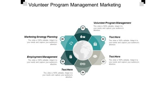 Volunteer Program Management Marketing Strategy Planning Employment Management Ppt PowerPoint Presentation Professional Grid