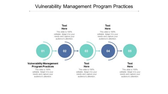 Vulnerability Management Program Practices Ppt PowerPoint Presentation Inspiration Cpb