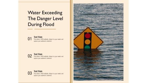 Water Exceeding The Danger Level During Flood Ppt PowerPoint Presentation Inspiration Diagrams PDF