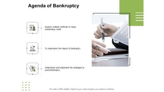 Ways To Bounce Back From Insolvency Agenda Of Bankruptcy Ppt Summary Guidelines PDF