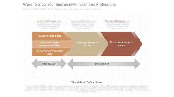 Ways To Grow Your Business Ppt Examples Professional