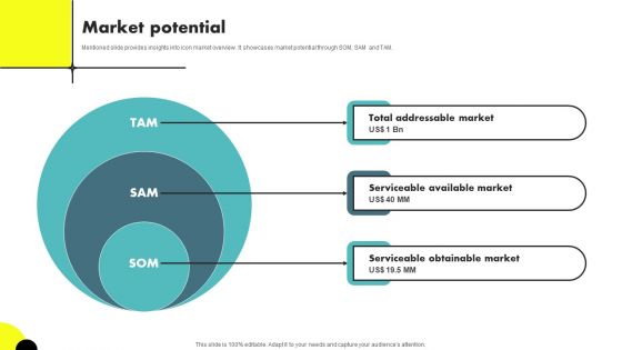 Web Designing Icon Investor Funding Elevator Pitch Deck Market Potential Topics PDF