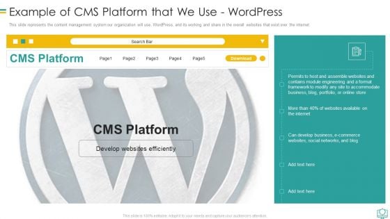 Web Development Example Of Cms Platform That We Use Wordpress Download PDF