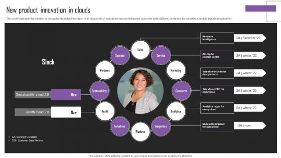 Web Hosting Software Company Outline New Product Innovation In Clouds Portrait PDF