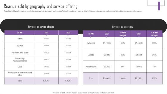 Web Hosting Software Company Outline Revenue Split By Geography And Service Offering Brochure PDF