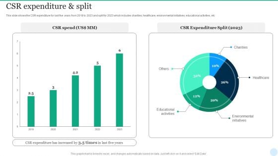Web Interface Development Services Company Summary CSR Expenditure And Split Topics PDF