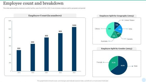 Web Interface Development Services Company Summary Employee Count And Breakdown Icons PDF