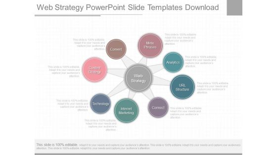 Web Strategy Powerpoint Slide Templates Download