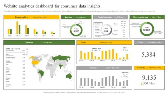 Website Analytics Dashboard For Consumer Data Insights Ppt Infographic Template Samples PDF