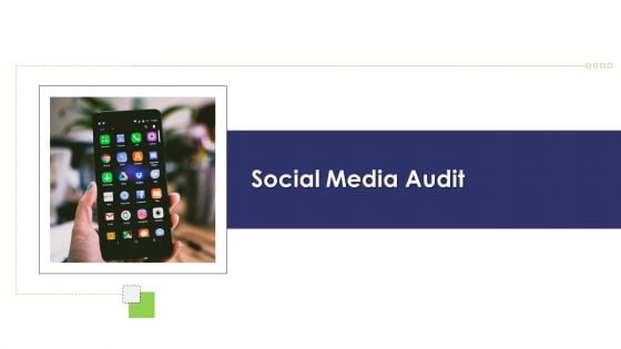 Website And Social Media Social Media Audit Ppt Layouts Introduction PDF