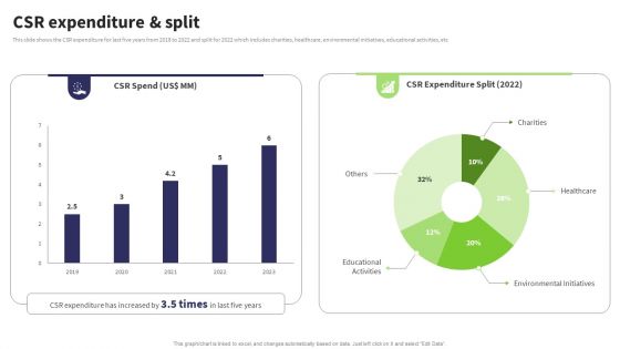 Website Design And Development Services Company Profile Csr Expenditure Infographics PDF