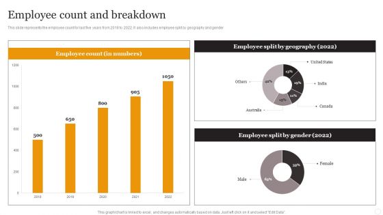 Website Designing Solutions Company Profile Employee Count And Breakdown Rules PDF