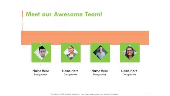 Welfare Work Value Meet Our Awesome Team Ppt Infographics Introduction PDF Welfare Work Value Meet Our Awesome Team Ppt Infographics Introduction PDF
