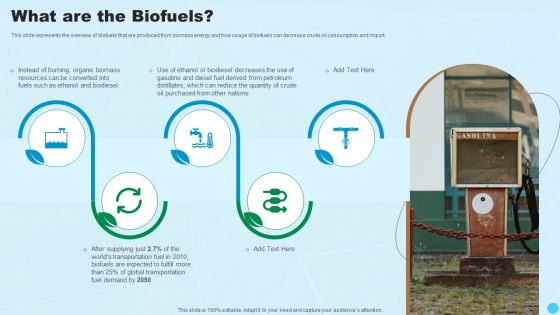 What Are The Biofuels Clean And Renewable Energy Ppt PowerPoint Presentation Icon Objects PDF