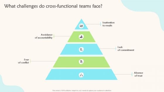 What Challenges Do Cross Functional Teams Face Teams Working Towards A Shared Ideas PDF