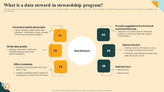 What Is A Data Steward In Stewardship Program Summary PDF