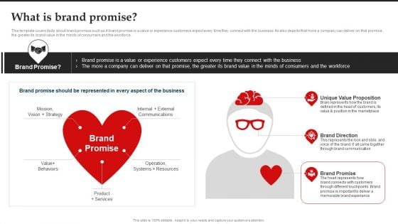 What Is Brand Promise Brand Introduction Plan Rules PDF What Is Brand Promise Brand Introduction Plan Rules PDF