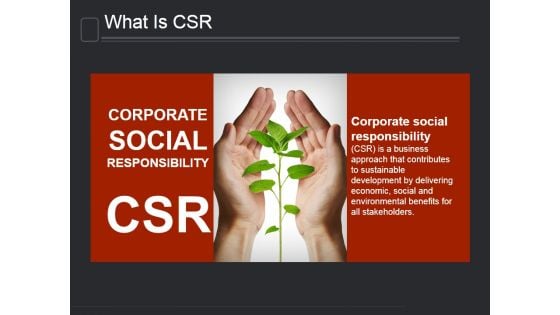 What Is Csr Ppt PowerPoint Presentation Gallery