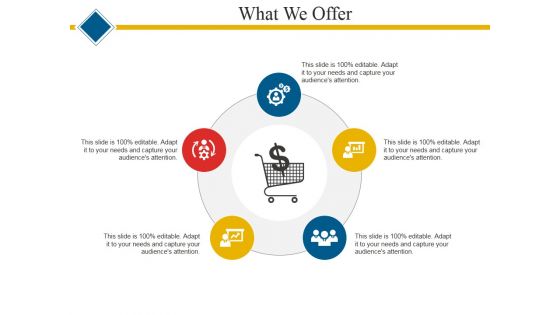 What We Offer Template 1 Ppt PowerPoint Presentation Gallery Master Slide