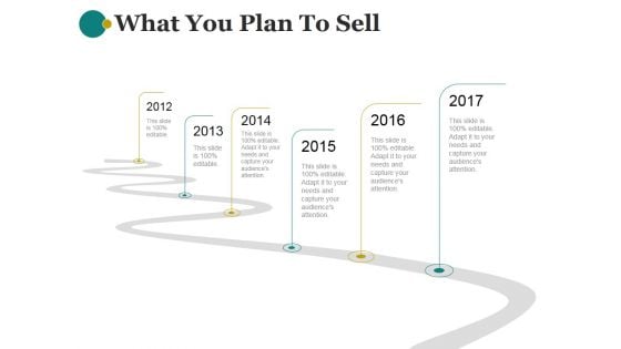 What You Plan To Sell Ppt PowerPoint Presentation Design Templates What You Plan To Sell Ppt PowerPoint Presentation Design Templates