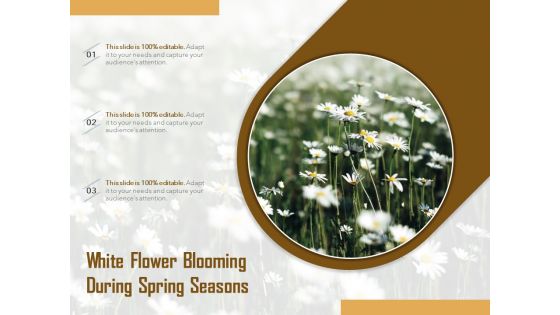 White Flower Blooming During Spring Seasons Ppt PowerPoint Presentation Summary Graphics Tutorials PDF