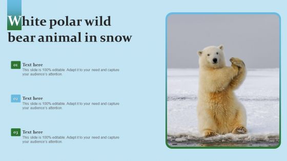 White Polar Wild Bear Animal In Snow Guidelines PDF