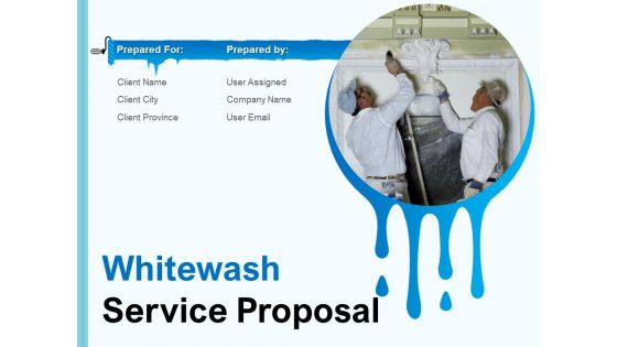 Whitewash Service Proposal Ppt PowerPoint Presentation Complete Deck With Slides