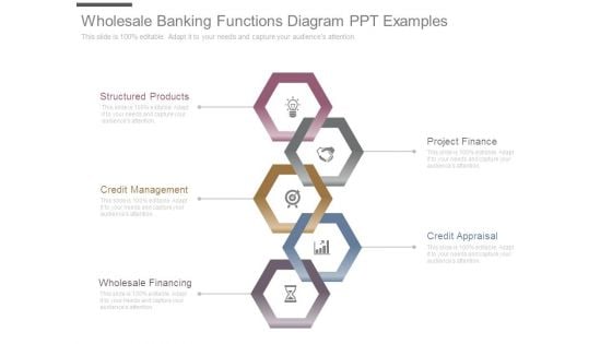 Wholesale Banking Functions Diagram Ppt Examples