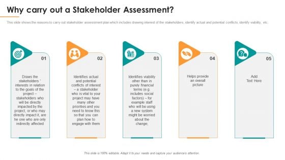 Why Carry Out A Stakeholder Assessment Ppt Model Skills PDF