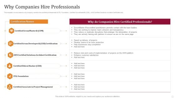 Why Companies Hire Professionals Technology License For IT Professional Summary PDF