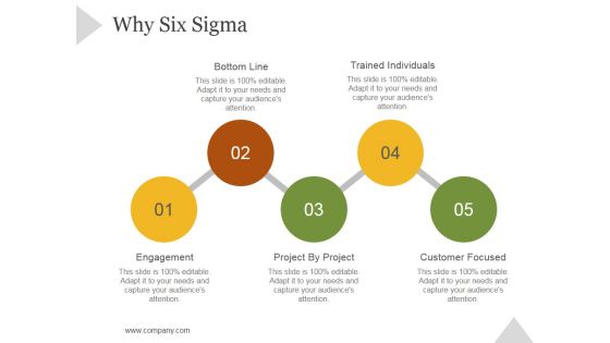 Why Six Sigma Ppt PowerPoint Presentation Infographics