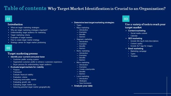 Why Target Market Identification Is Crucial To An Organization Table Of Contents Rules PDF