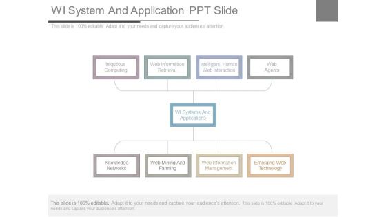 Wi System And Application Ppt Slide