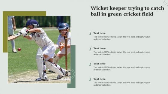 Wicket Keeper Trying To Catch Ball In Green Cricket Field Demonstration PDF Wicket Keeper Trying To Catch Ball In Green Cricket Field Demonstration PDF