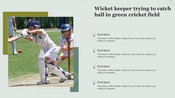 Wicket Keeper Trying To Catch Ball In Green Cricket Field Demonstration PDF