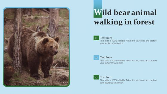 Wild Bear Animal Walking In Forest Inspiration PDF