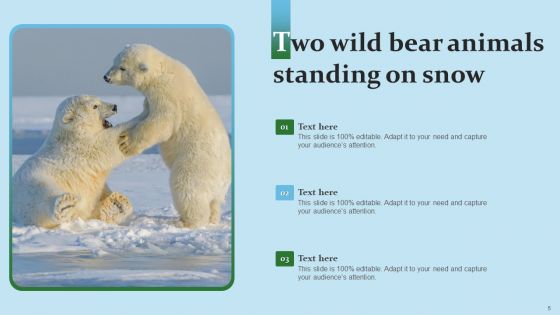 Wild Bear Images Ppt PowerPoint Presentation Complete Deck With Slides