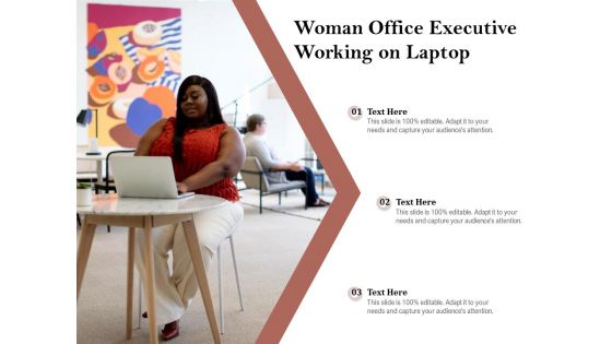 Woman Office Executive Working On Laptop Ppt PowerPoint Presentation Styles Layouts PDF