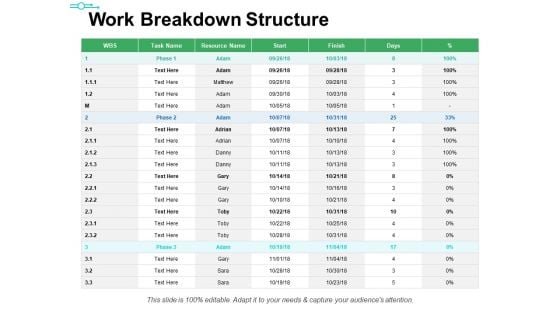 Work Breakdown Structure Ppt PowerPoint Presentation Styles Elements