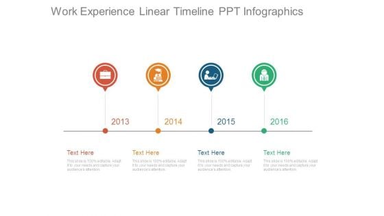 Work Experience Linear Timeline Ppt Infographics