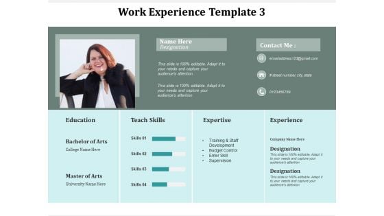 Work Experience Template Business Ppt Powerpoint Presentation Show Cpb