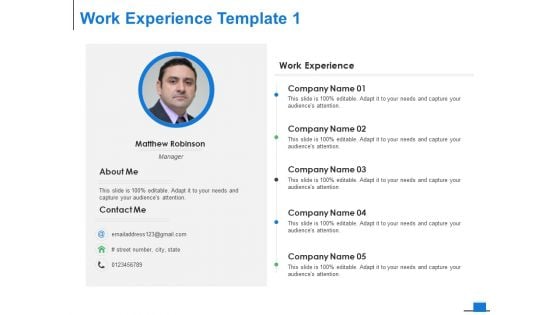 Work Experience Template Management Ppt PowerPoint Presentation Model Outline