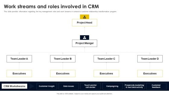 Work Streams And Roles Involved In CRM Microsoft PDF