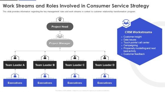 Work Streams And Roles Involved In Consumer Service Strategy Themes PDF