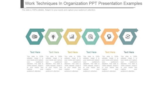 Work Techniques In Organization Ppt Presentation Examples